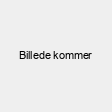 Se alle Bestseller