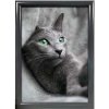 Klikramme med 25mm aluminium profil, antracit grå - 70x100cm #1