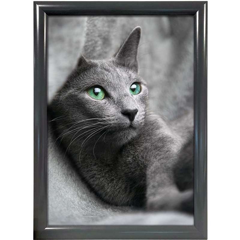Klikramme med 25mm aluminium profil, antracit grå - A4 #1