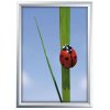 Klikramme med 25mm aluminium profil, sølv - 50x70 cm #1