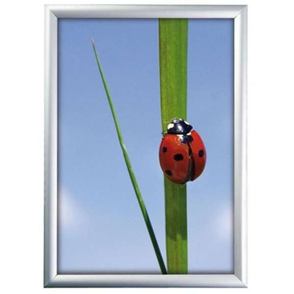 Klikramme med 25mm aluminium profil, sølv - 50x70 cm #1