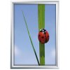 Klikramme med 25mm aluminium profil, sølv - A1 #1