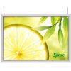 LED Slim Light Lux Dobbelsidet - 70x100cm Horisontal #1