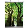 Banner-Line Set, plakatophæng med 30mm aluminium plakatlister - 100cm (B0) #3