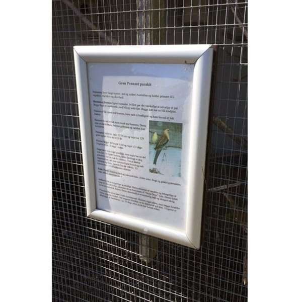 Opti Klikramme med 25mm aluminium profil, sølv - 50x70 cm #7