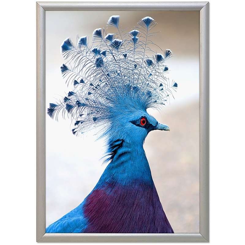 Klikramme med 17mm aluminium profil, sølv - 50 x 70 cm #1