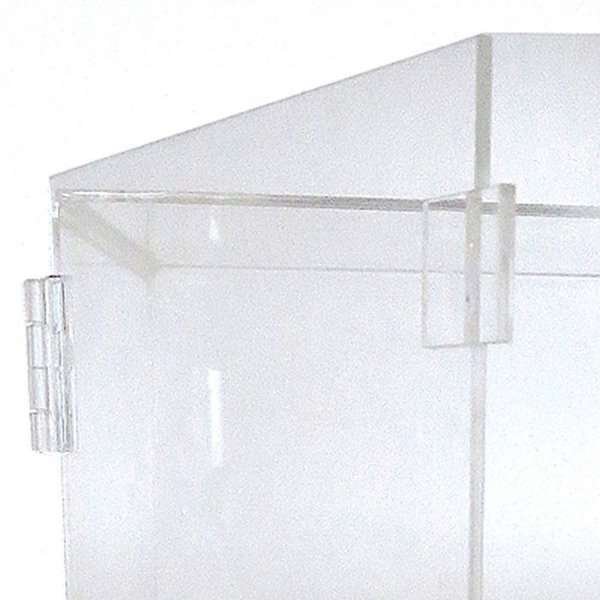 Showcase Cabinet #3