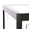 Vitrine glasskab - Showcase Counter Solo glasmontre med LED lys og lås  sort #7