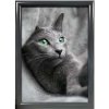 Klikramme med 25mm aluminium profil, antracit grå - A1 #1