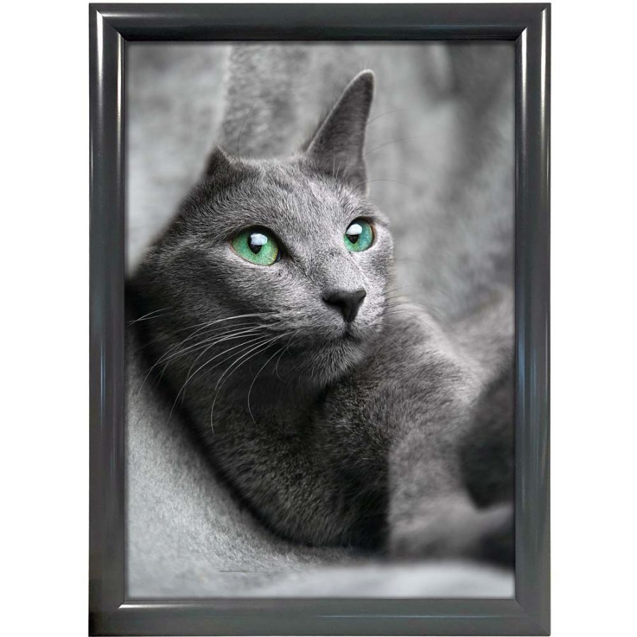 Klikramme med 25mm aluminium profil, antracit grå - A1 #1