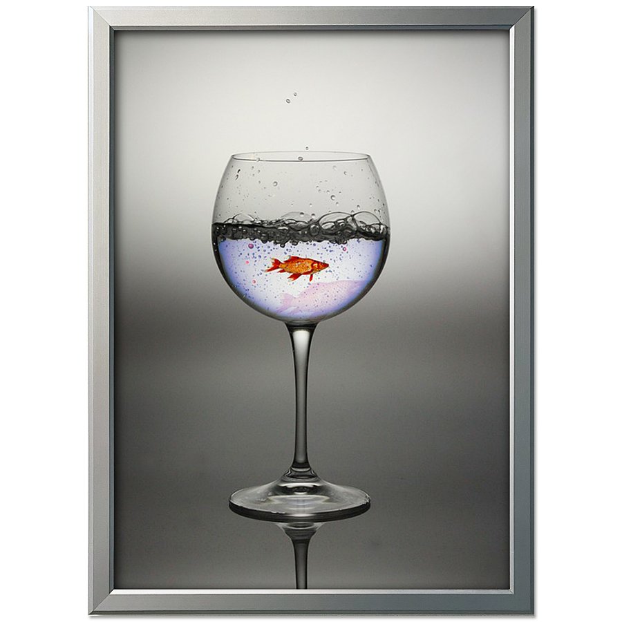 Klikramme, 20 mm aluminium fladprofil, s&oslash;lv, B1 - 70 x 100 cm