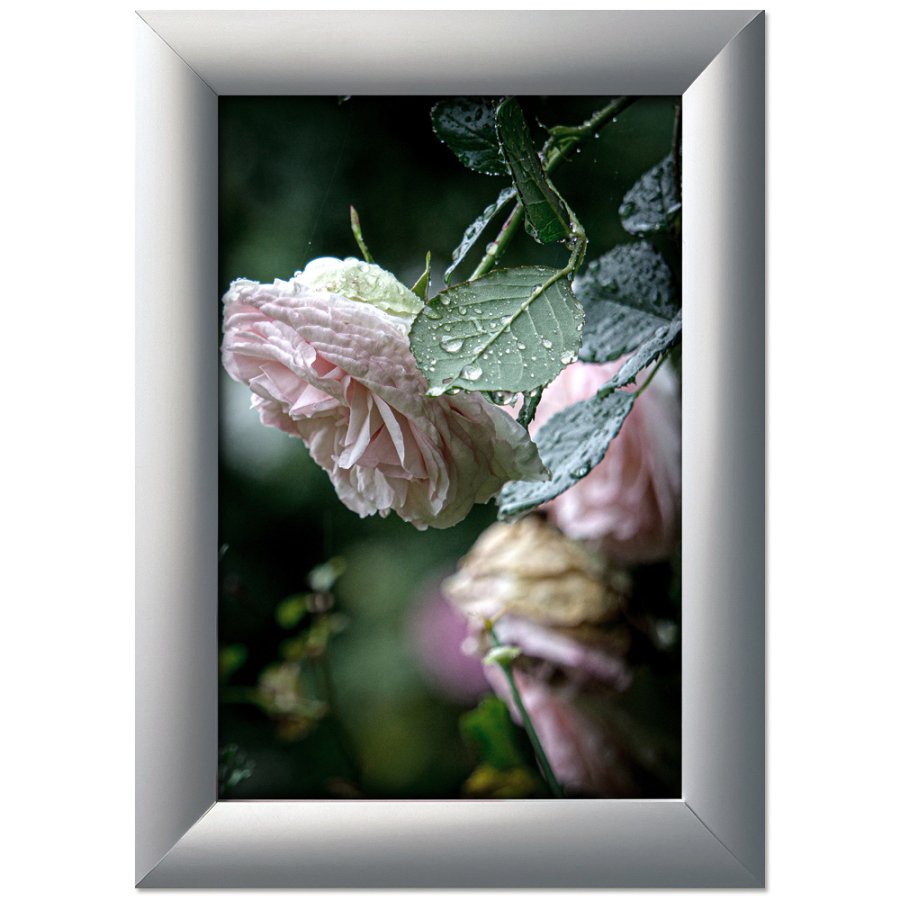 Klikramme med 45mm aluminium profil, s&oslash;lv - 70x100 cm