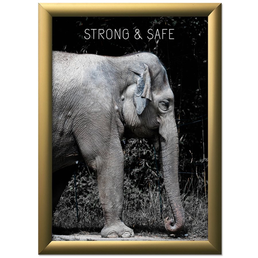 Klikramme med 25mm aluminium profil, guld - A2